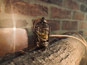Birdcage of Holding Removable Mini D20 Dice Necklace