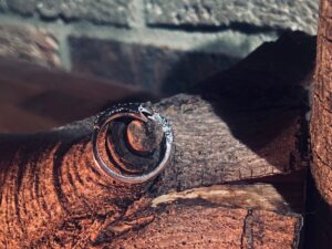 Serpent's Gaze FamiliaRing